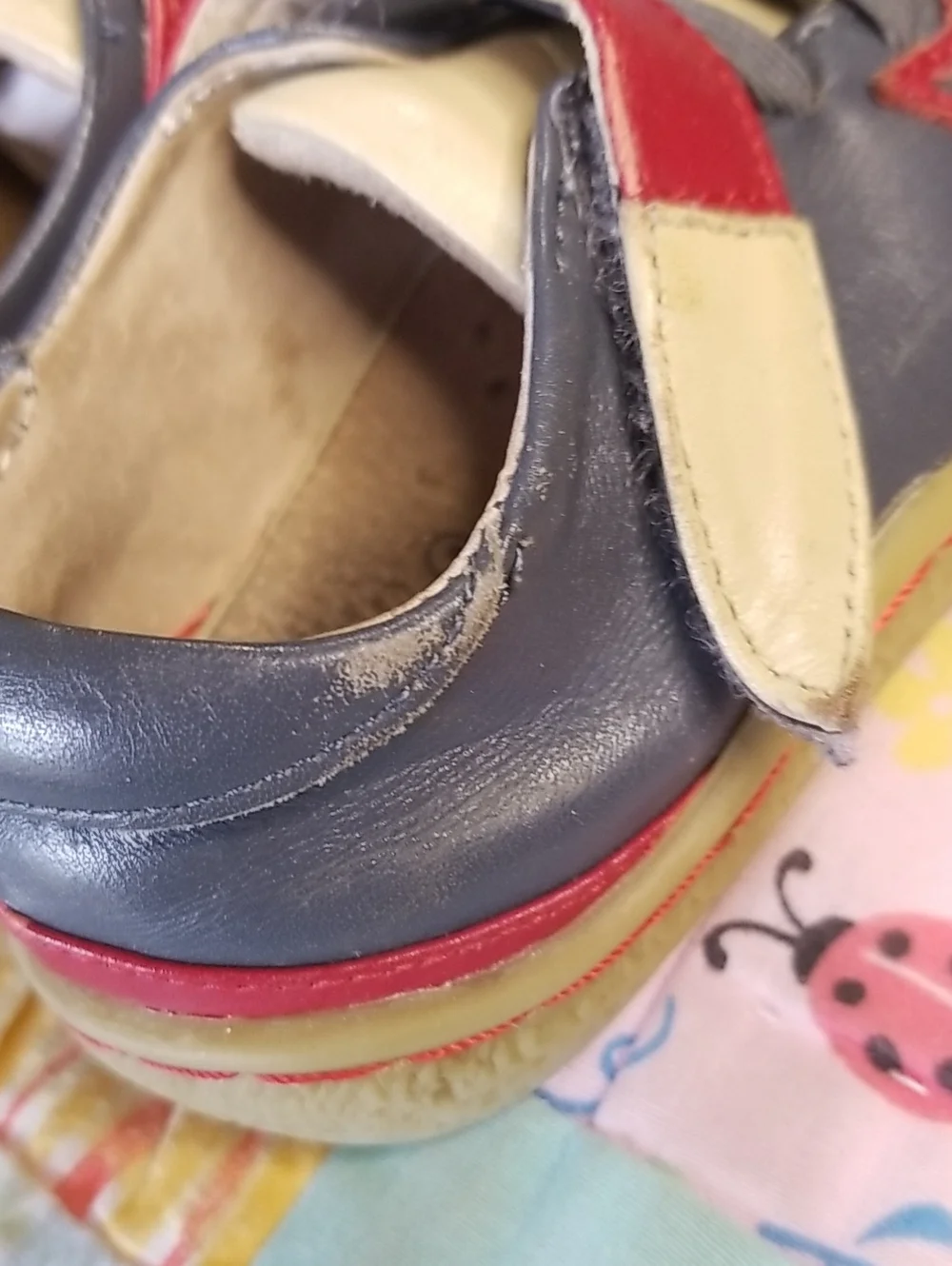 Livie & Luca Toddler Leather Shoes in Blue/Gray, Cream & Red Size 5 Foxes